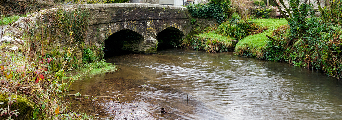 Beberapa Cara Membersihkan Sungai dari Sampah dan Limbah