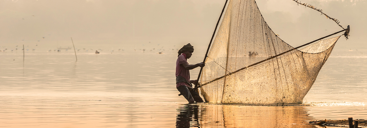 Apa Saja Potensi Kegiatan Ekonomi di Daerah Pantai?