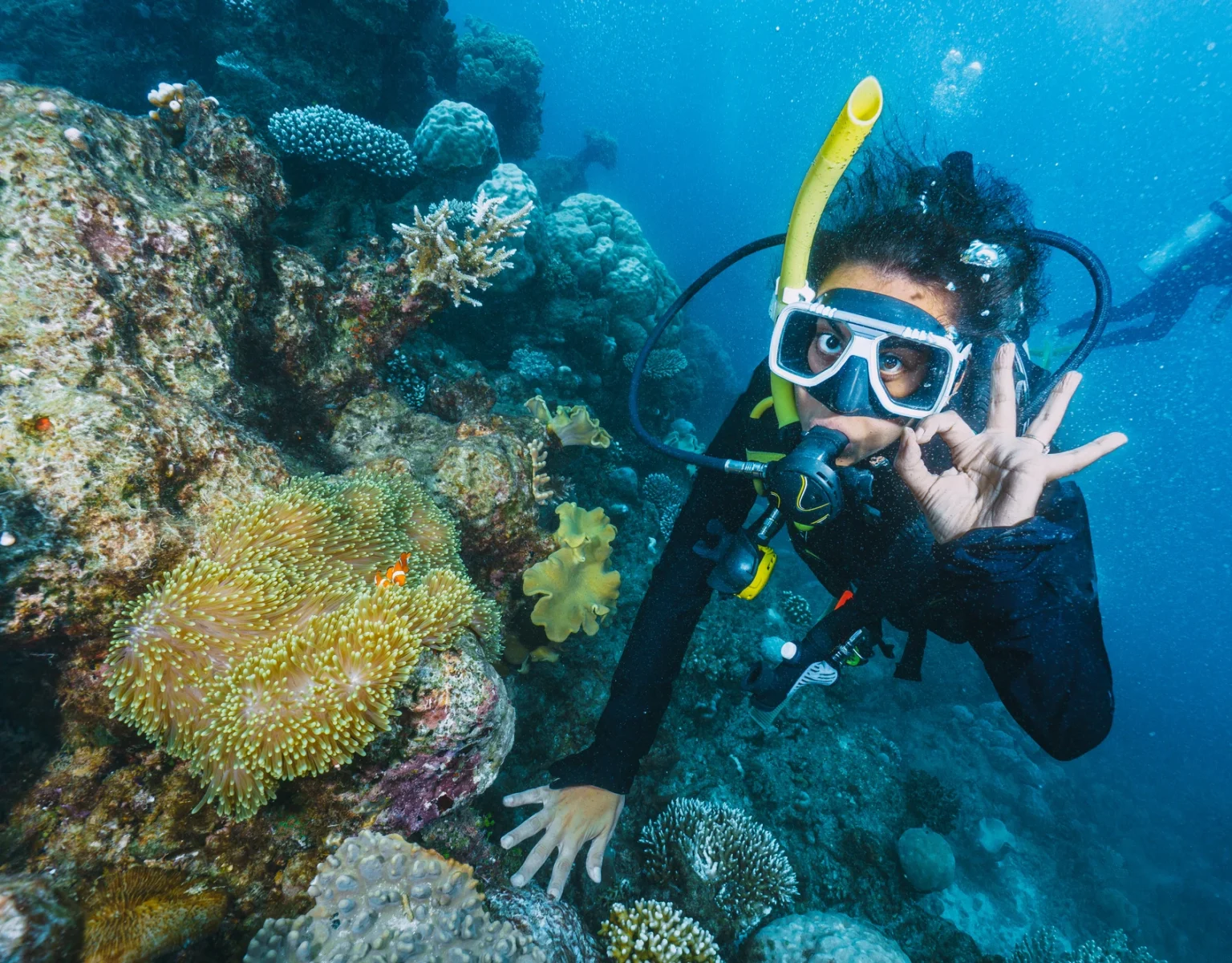 Mengenal Snorkeling: Pengertian, Manfaat, Hingga Fasilitas Dermaga Inovatif