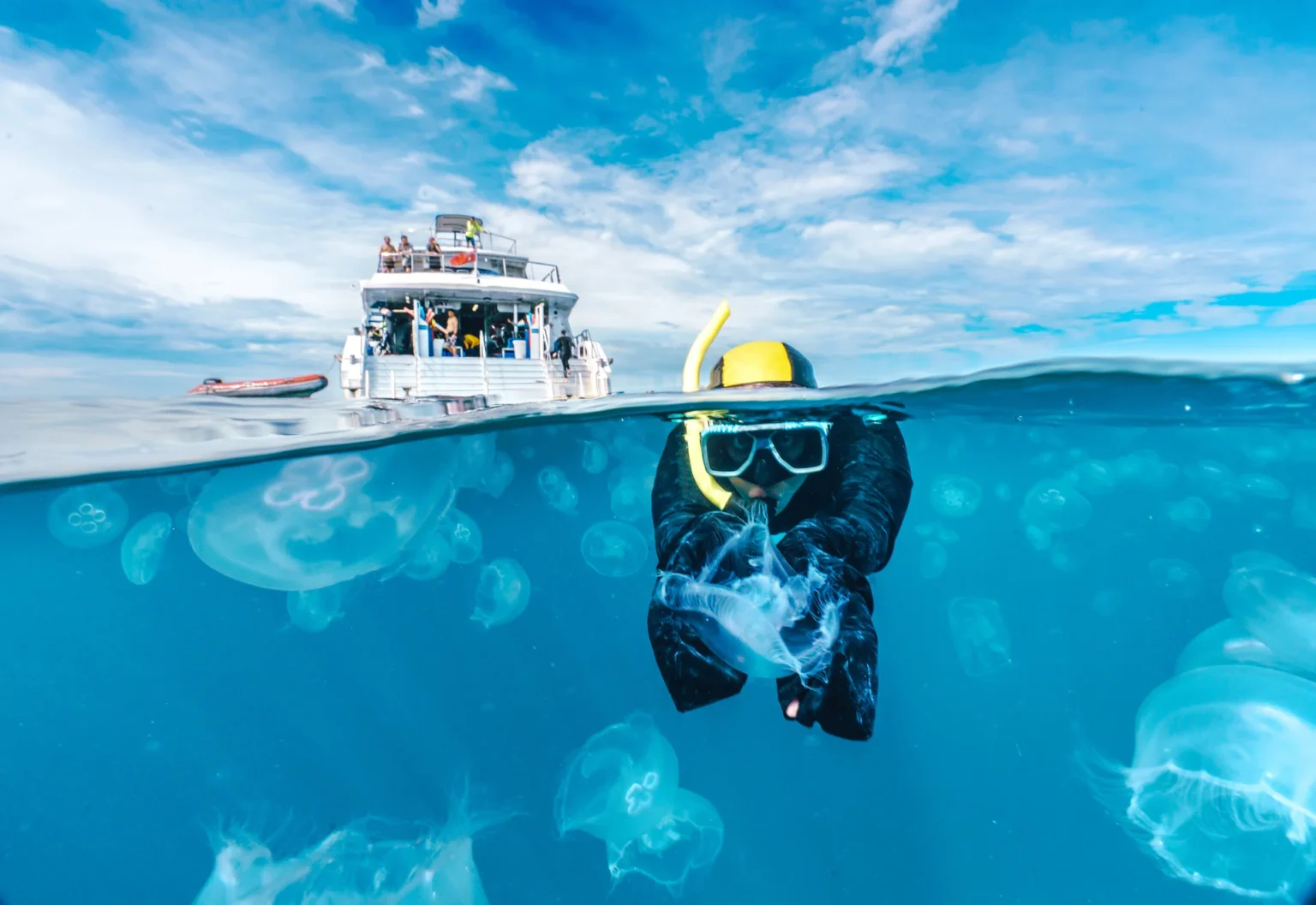 Manfaat Dermaga Snorkeling dan Fasilitas Dermaga Inovatif
