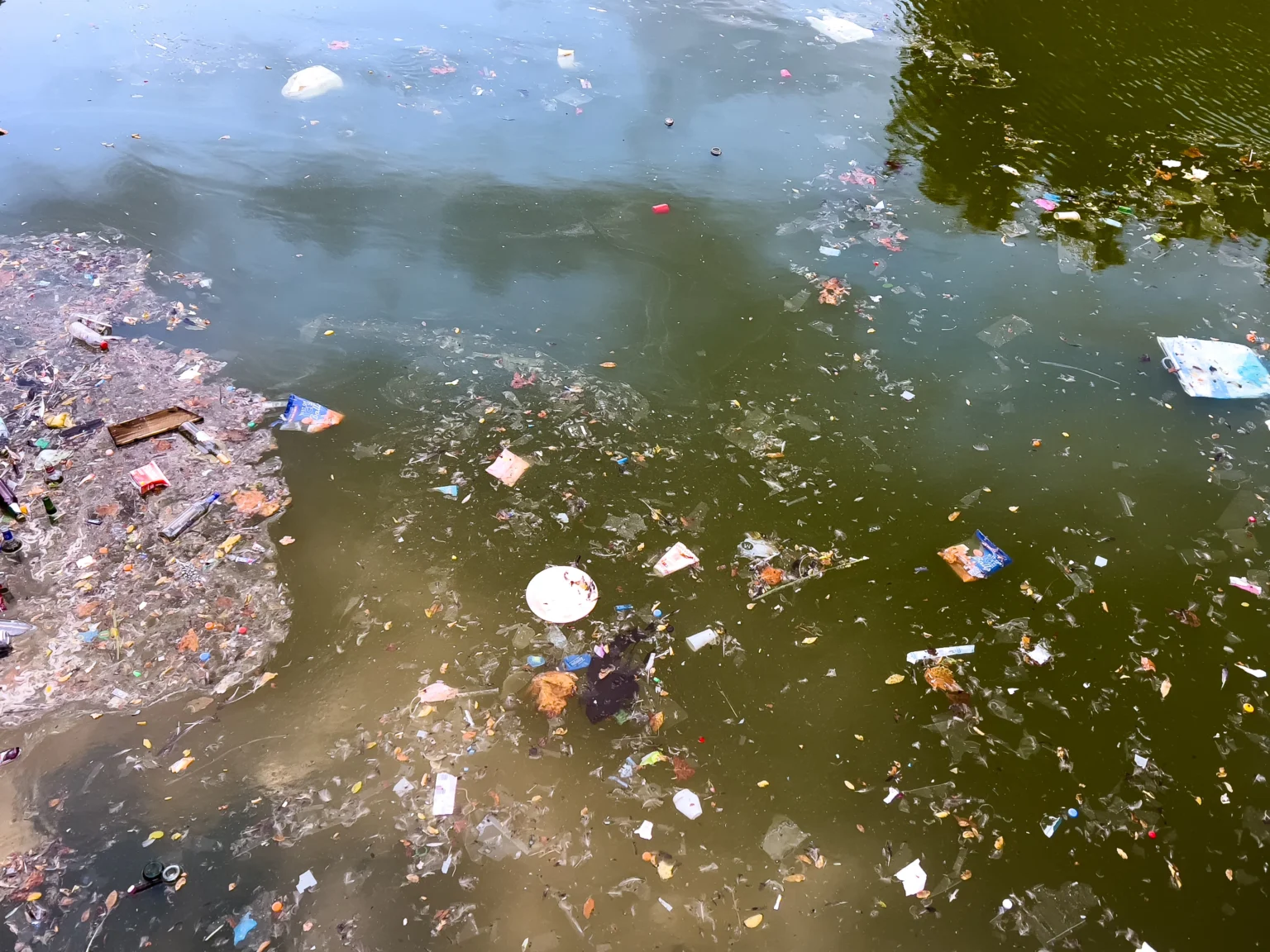 Perkembangan, Dampak Positif, hingga Jenis-jenis dari Trash Barrier