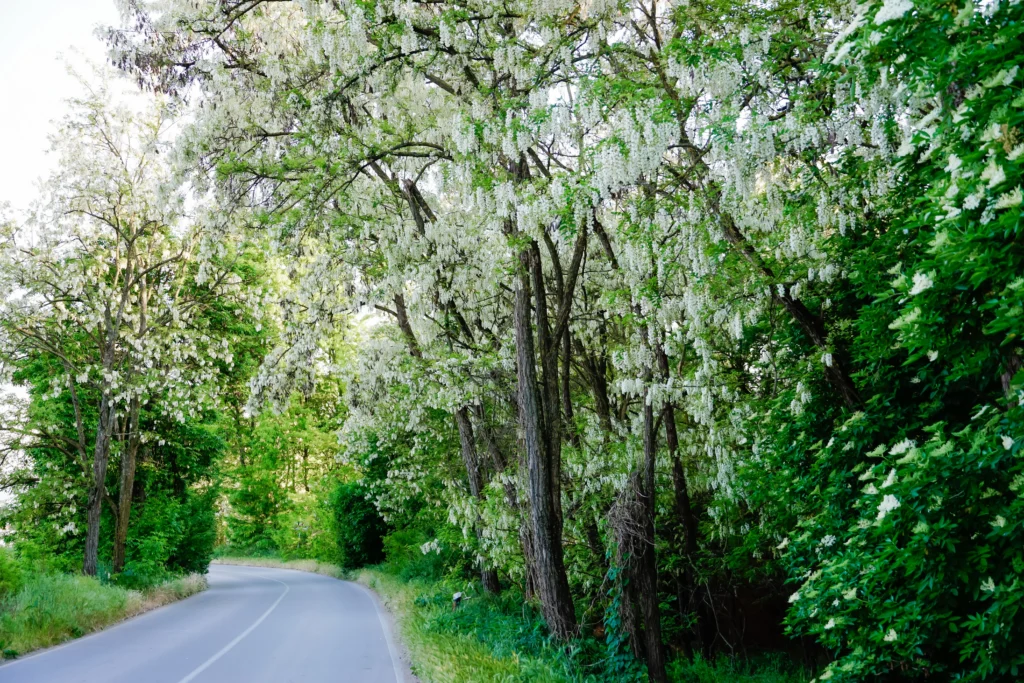 Banjir: Dampak, Cara Menanggulangi hingga Alat Evakuasi 