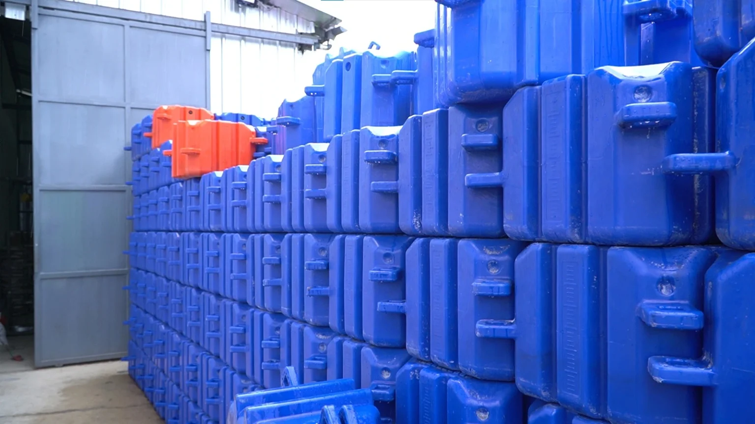 Mengenal Lebih Dalam tentang Barakuda Marine!