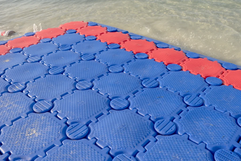 Mengenal Lebih Dalam tentang Barakuda Marine!