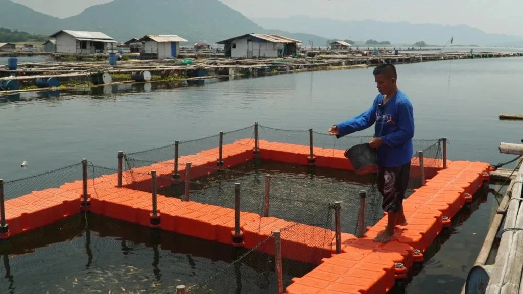 Peran Keramba Jaring Apung dalam Budidaya Ikan