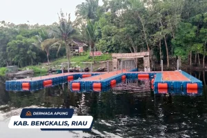 Dermaga Apung Kubus Apung Barakuda