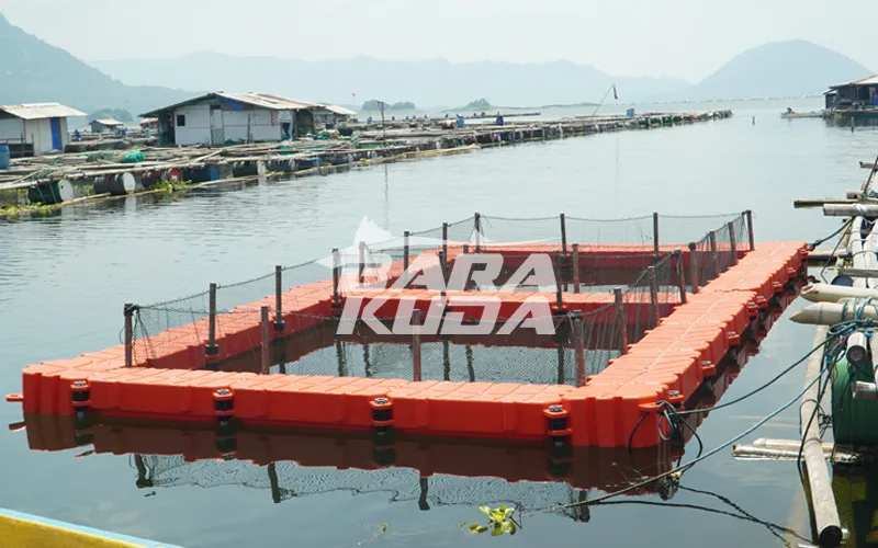 keramba jaring kubus apung barakuda