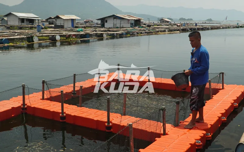 keramba jaring kubus apung barakuda